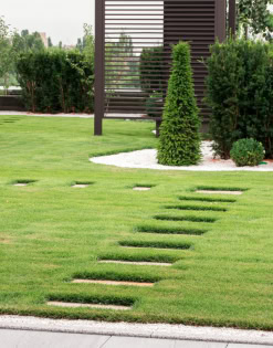 Beautiful modern garden pathway with stepping stones and lush greenery.
