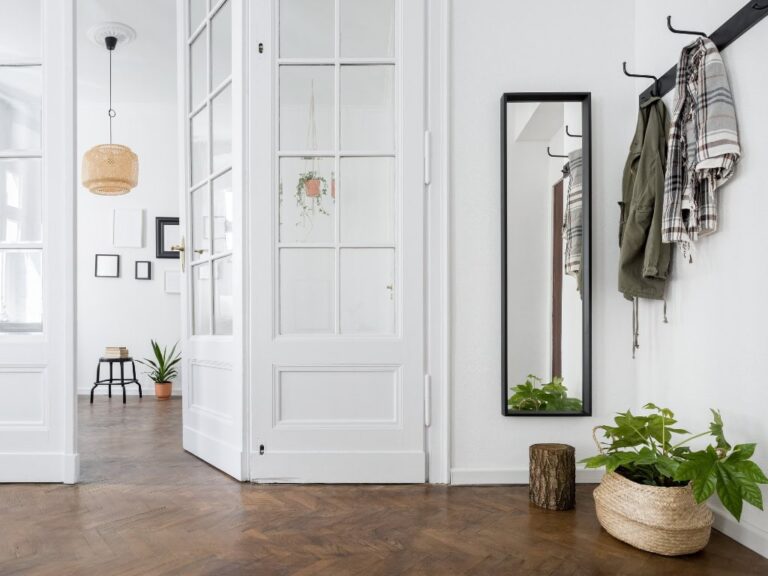 A stylish apartment entrance decorated with indoor plants, wall mirror, and hanging clothes, showcasing modern and minimalist interior design.